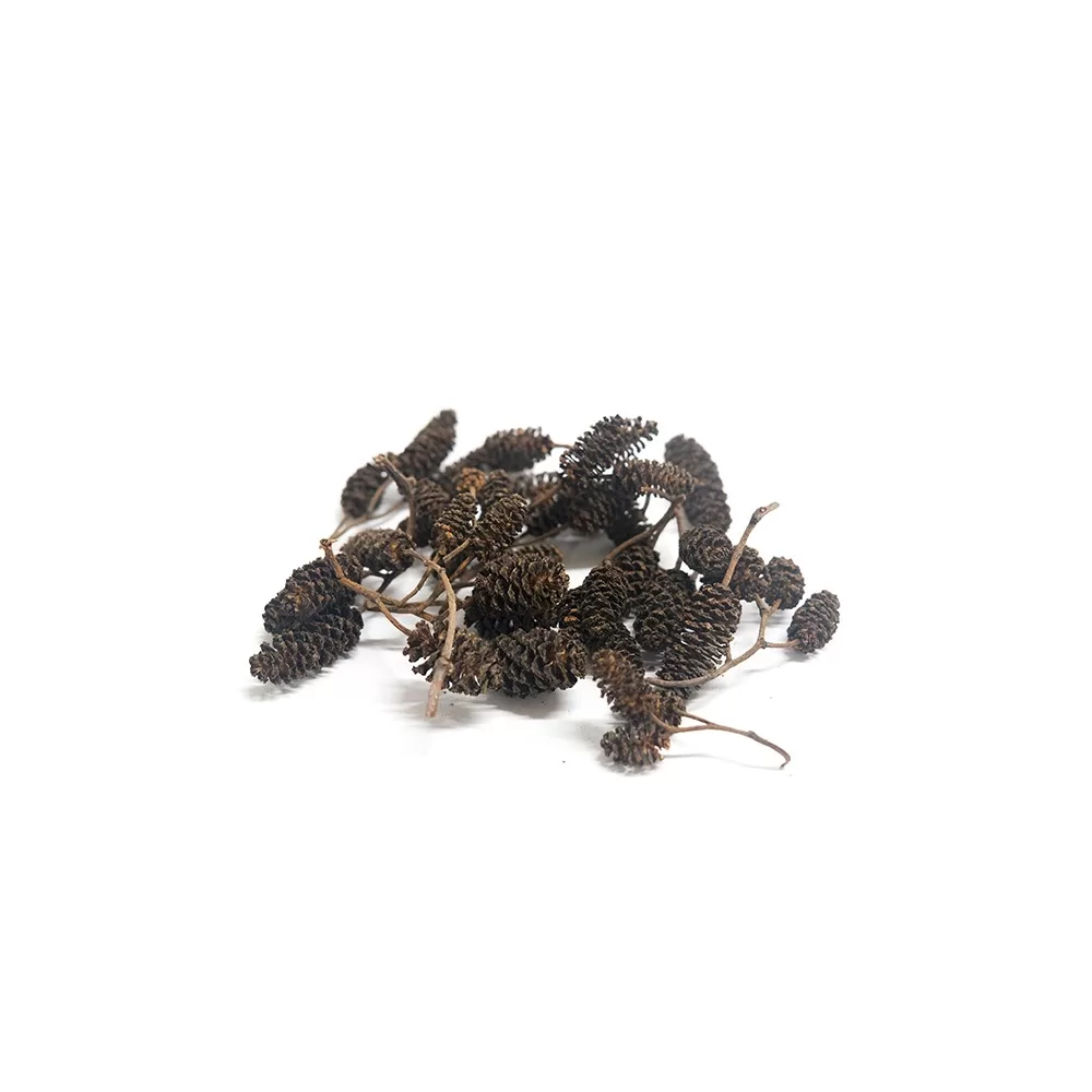 Creaqua Alder Cones Kızılağaç kozalağı
