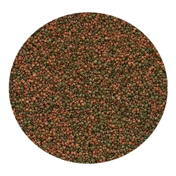 Tropical Cichlid Gran 250gr Kovadan Bölme Granül Balık Yemi