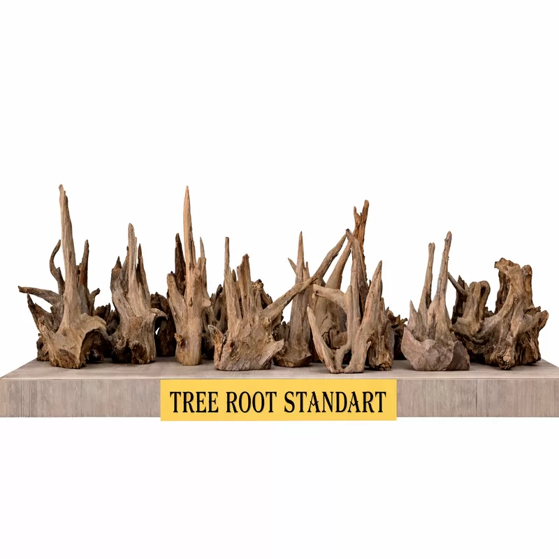 Tree Root Standart 15–20 cm Doğal Akvaryum Kökü