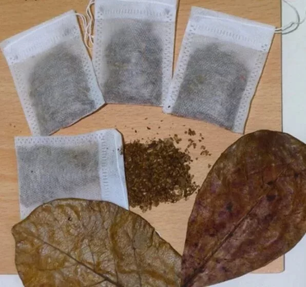 Catappa Yaprağı Poşet Çay 3 GRAM 1 Adet