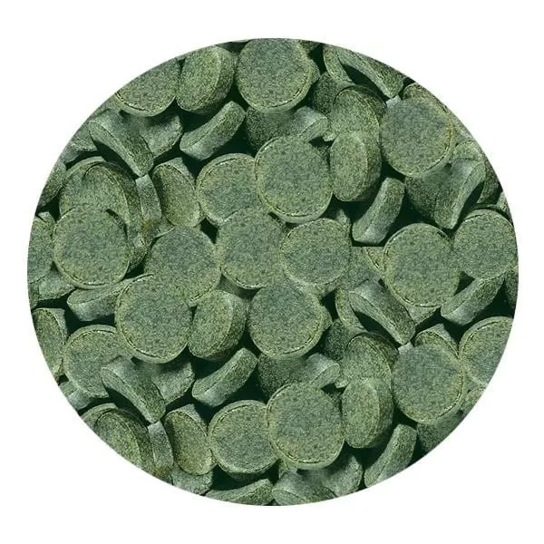 Sera Spirulina Tabs 100 Adet (Kovadan Bölme)