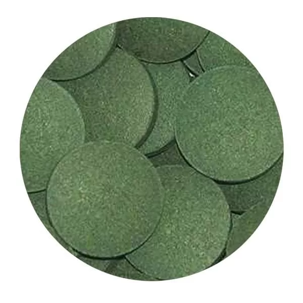 Tropical Pleco’s Tablets 100 gr Balık Yemi (Kovadan Bölme)