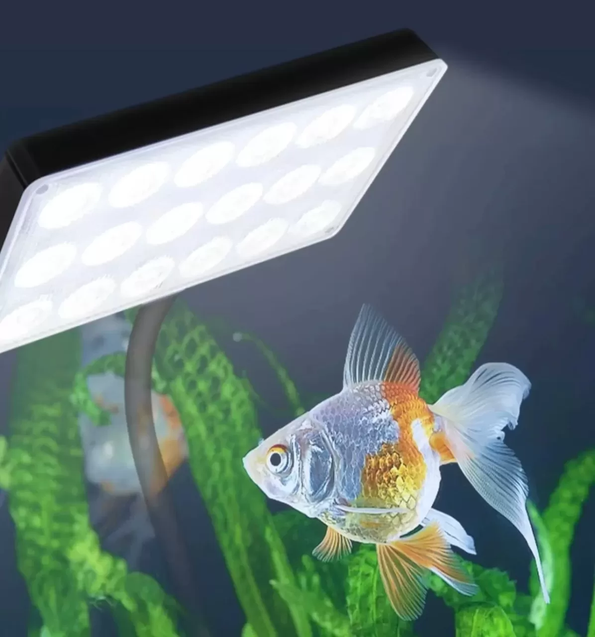 YIKEDA 15.2W Akvaryum LED Beyaz | Akvaryum Aydınlatma