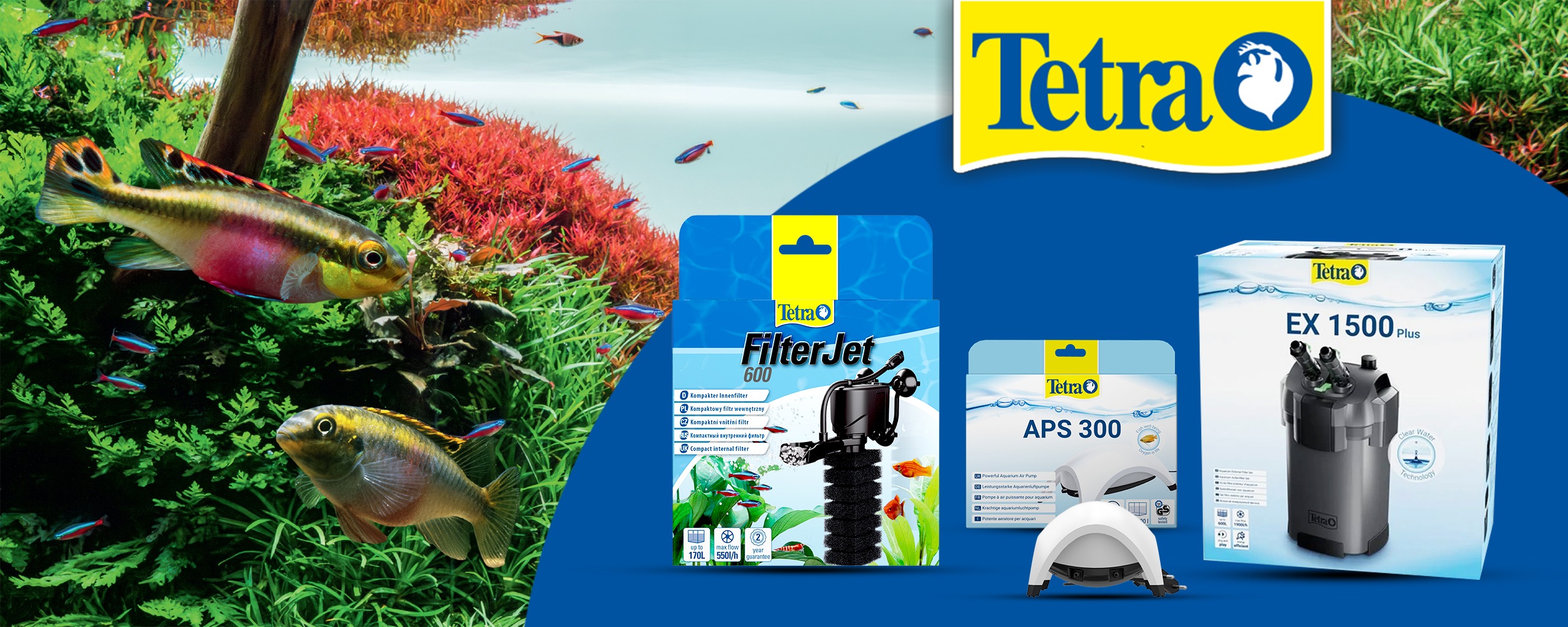 Tetra